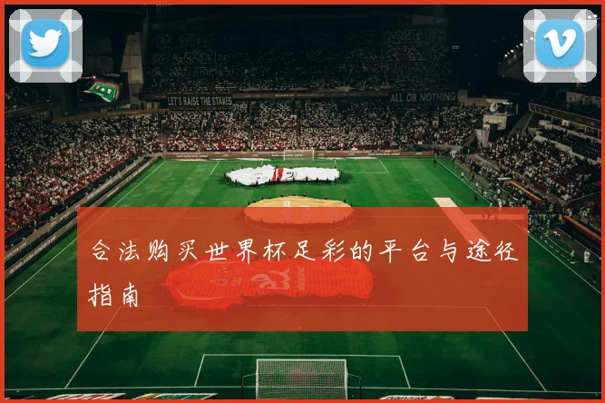 合法购买世界杯足彩的平台与途径指南