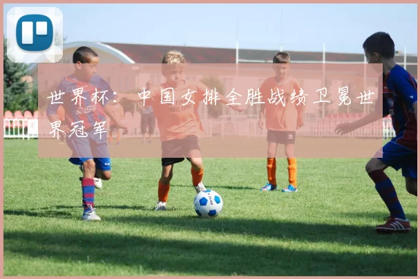 世界杯：中国女排全胜战绩卫冕世界冠军