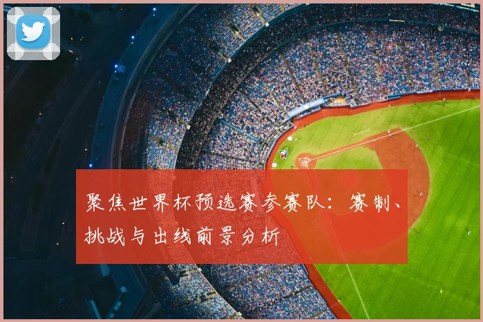 聚焦世界杯预选赛参赛队:赛制、挑战与出线前景分析