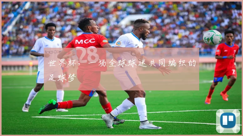 世界杯，一场全球球迷共同编织的足球梦
