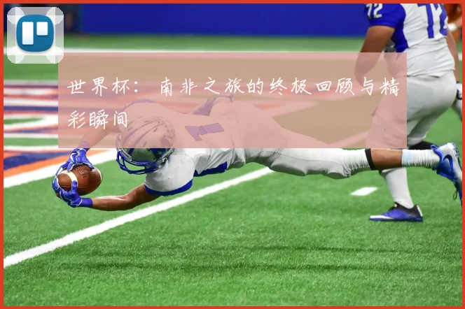 世界杯：南非之旅的终极回顾与精彩瞬间