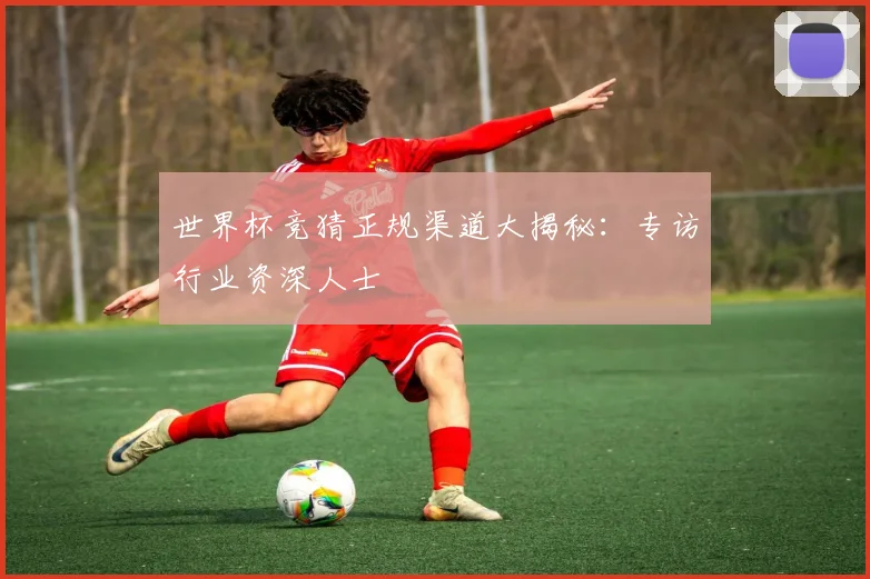 世界杯竞猜正规渠道大揭秘：专访行业资深人士