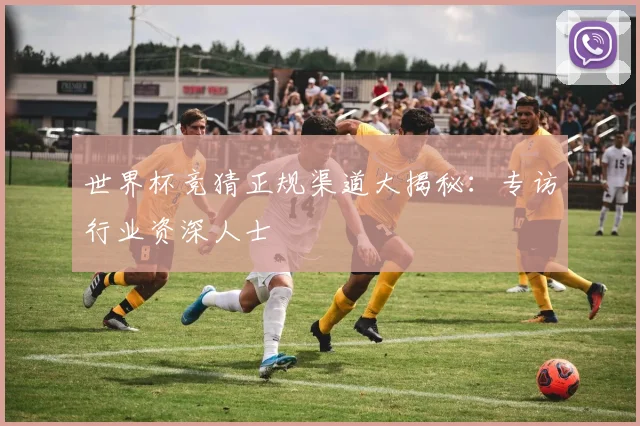 世界杯竞猜正规渠道大揭秘：专访行业资深人士