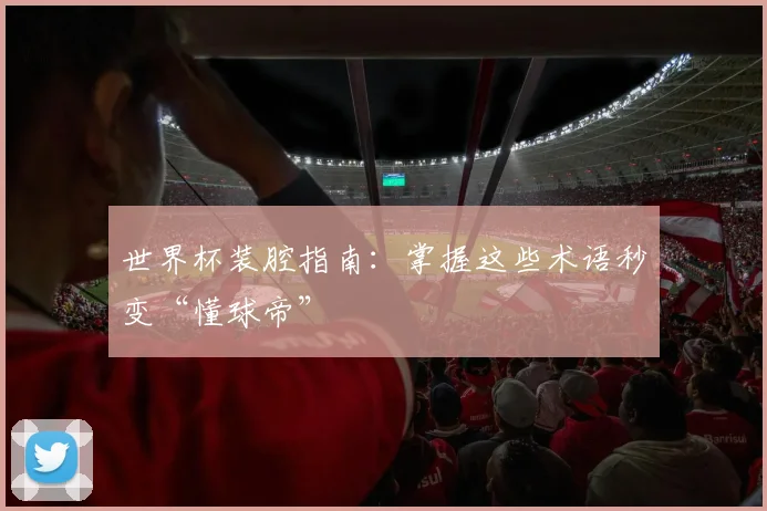 世界杯装腔指南:掌握这些术语秒变“懂球帝”