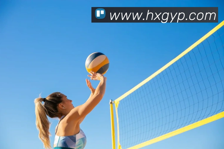 开云app官方版入口appAPP 封面图